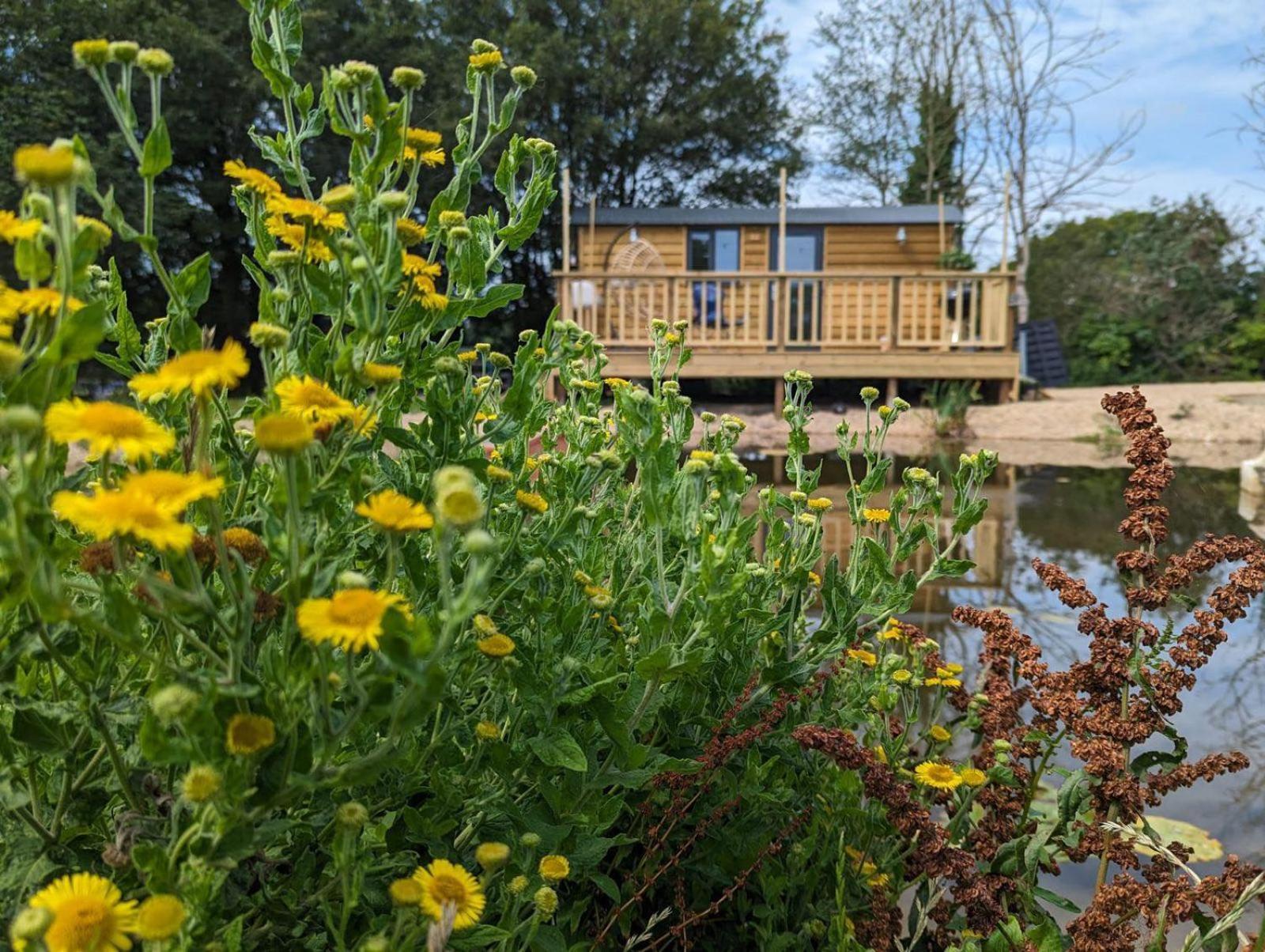 Rusty Duck Retreat Shepherds Hut Shedfield Экстерьер фото